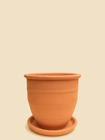 Terracota Doğal Saksı 2 No 2 Ø20cm -  Saksilar - Lalezar Botanik